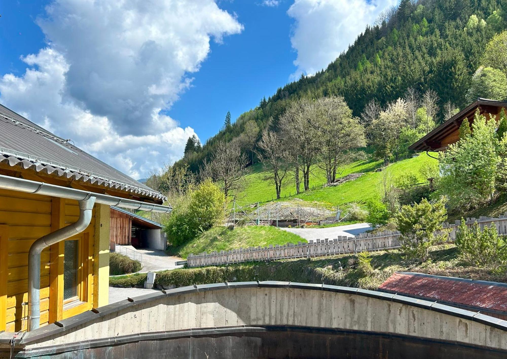 Weitenmoos Panorama Apartments Sankt Johann im Pongau Room photo